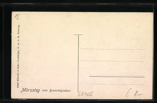 AK Mürzsteg, Totalansicht vom Brunntalgraben
