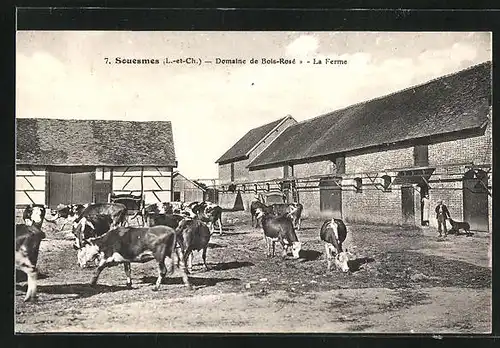 AK Souesmes, Domaine de Bois-Rosé, La Ferme