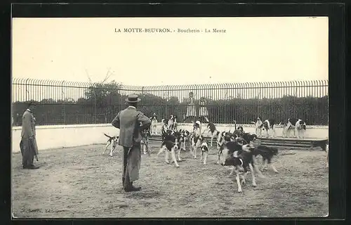 AK La Motte-Beuvron, Bouchetin, La Meute