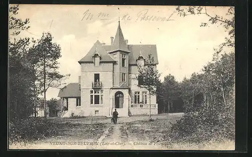 AK Neung-sur-Beuvron, Château de Visonblain