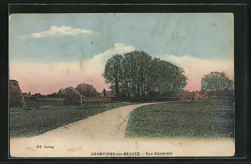 AK Champigny-en-Beauce, Vue Générale