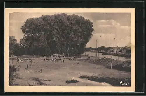 AK Saint-Aignan-sur-Cher, la Plage, Vue d'ensemble