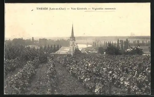 AK Thésée, Vue Générale, Vignobles renommés