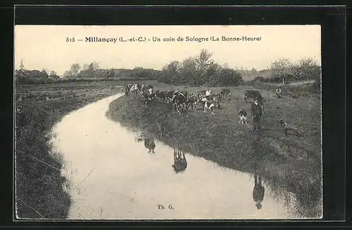 AK Millancay, Un coin de Sologne