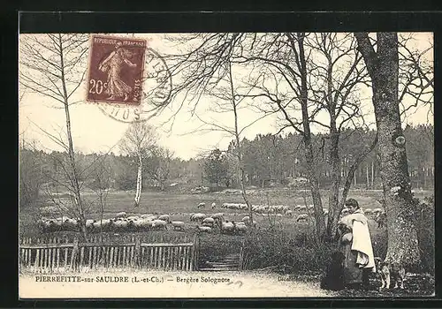 AK Pierrefitte-sur-Sauldre, Bergère Solognote