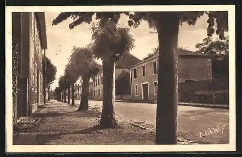 AK Castets-des-Landes, Rue de la Poste, Strassenpartie