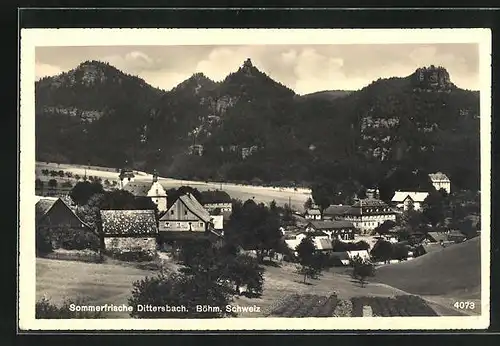 AK Dittersbach / Jetrichovice, Häuser und Berge