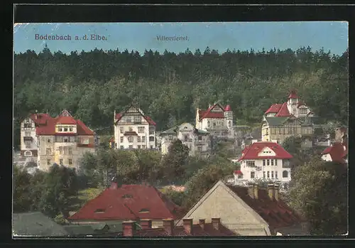 AK Bodenbach a. d. Elbe, Villenviertel aus der Vogelschau