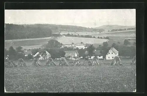 AK Dolní Dobrejov, Ortsansicht aus der Vogelschau