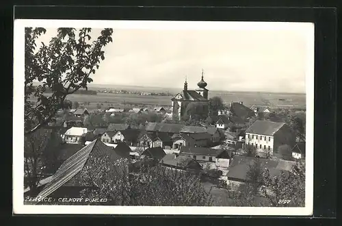 AK Zercice, Celkovy pohled