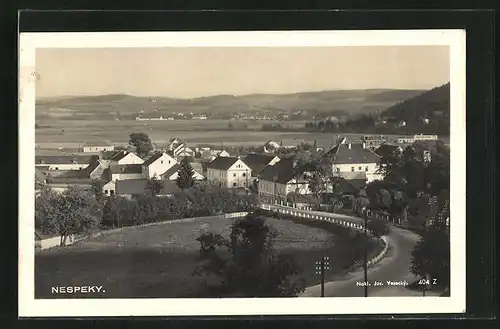 AK Nespeky, Ortsansicht, Strassenpartie, Berge & Felder