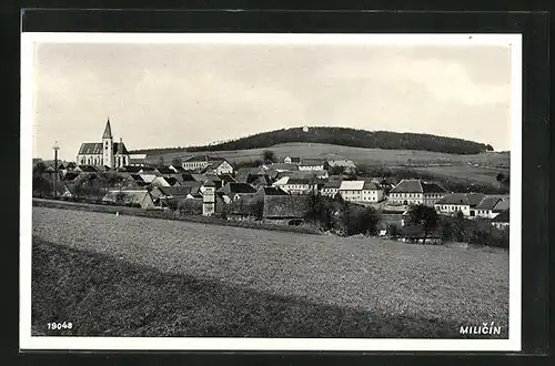 AK Milicin, Panorama, Blick auf Ort