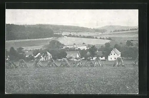 AK Dolní Dobrejov, Ortsansicht mit Umgebung