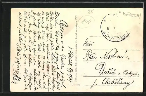 AK Horovice, Celkovy pohled