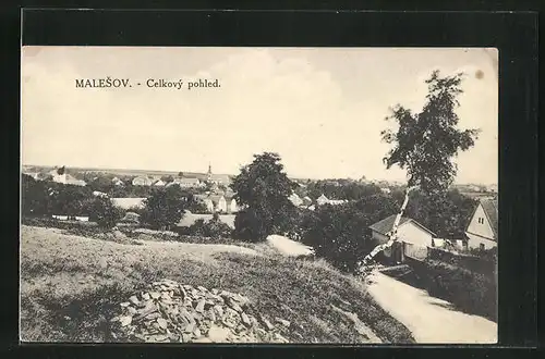 AK Malesov, Celkovy pohled