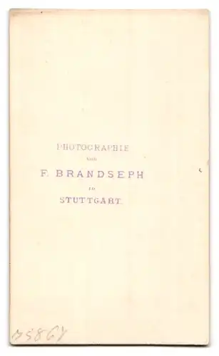 Fotografie F. Brandseph, Stuttgart, Portrait junge Dame mit Amulett und Kragenschleife