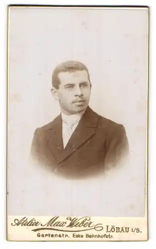 Fotografie Max Weber, Löbau i / S., Portrait junger Mann im Anzug mit Krawatte