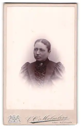 Fotografie C. O. Malmberg, Aby-Klippan, Portrait Frau in modischem Kleid eine Brosche tragend