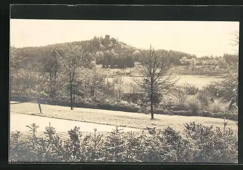 AK Choustník, Panorama, Häuser & Felder, Blick auf Burg