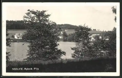 AK Sedlice, Rybnik Pila