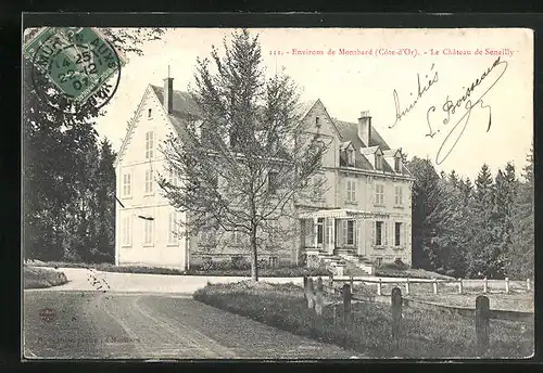 AK Senailly, Le Château