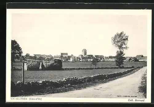 AK Vic-des-Prés, Vue Générale