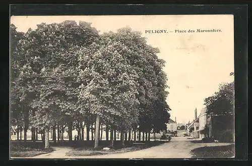 AK Puligny, Place des Maronniers