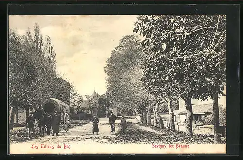 AK Savigny-les-Beaune, les Tilleuls du Bas