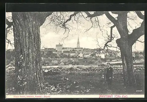 AK Meursault, Vue Générale