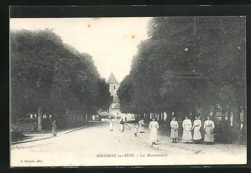 AK Mirebeau-sur-Béze, les Marronniers