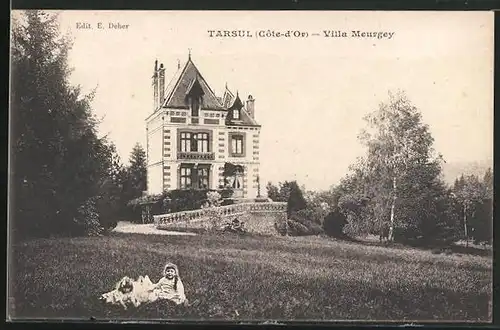 AK Tarsul, Villa Meurgey