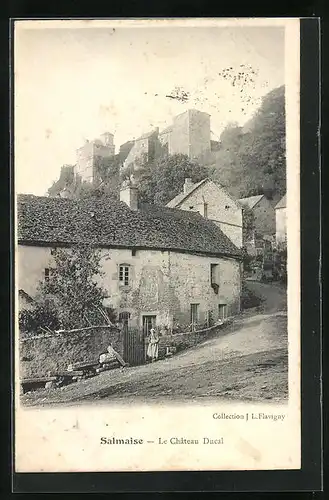 AK Salmaise, Le Château Ducal
