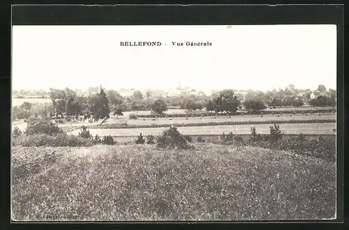 AK Bellefond, Vue Générale