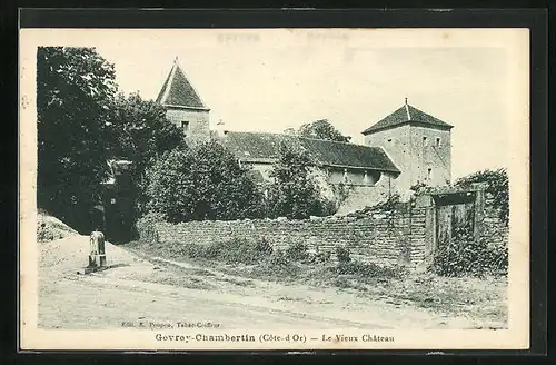 AK Gevrey-Chambertin, Le Vieux Chateau