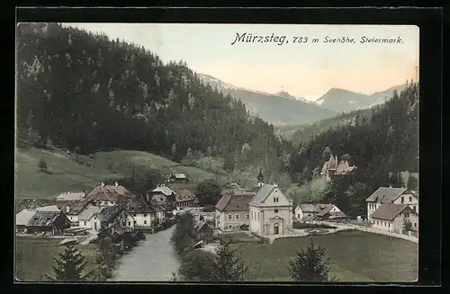 AK Mürzsteg, Strassenpartie mit Gebäudeansicht