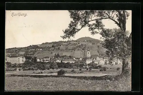 AK Hartberg, Teilansicht vom Stadtrand aus