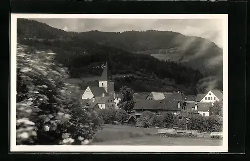 AK Niederwölz i. d. Stmk., Ortsansicht mit der Kirche