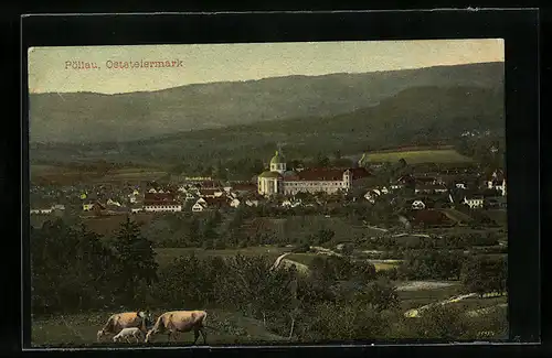 AK Pöllau i. d. Oststeiermark, Panoramaansicht