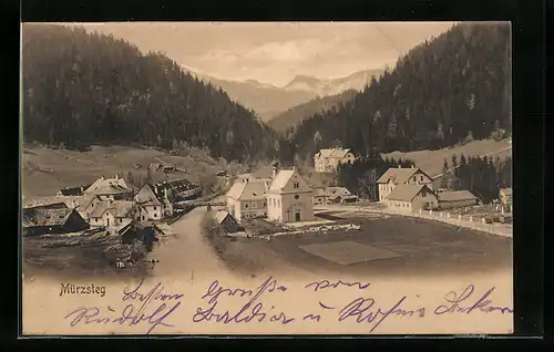 AK Mürzsteg, Teilansicht mit Flussbrücke