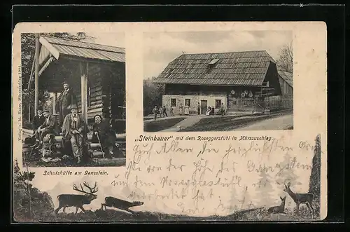 AK Mürzzuschlag, Steinbauer mit dem Roseggerstübl, Schutzhütte am Ganzstein