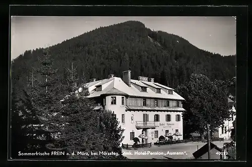 AK Frein a. d. Mürz bei Mürzsteg, vor dem Hotel-Pension Aumann