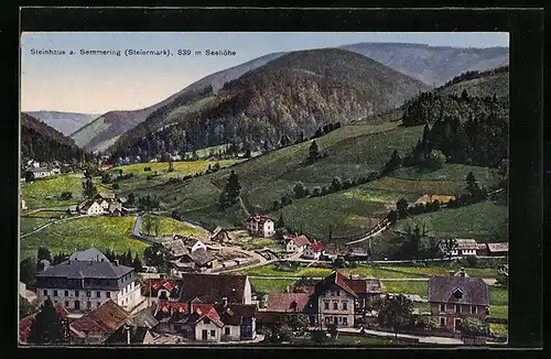 AK Steinhaus am Semmering, Ortsansicht