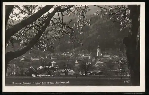 AK Anger bei Weiz i. d. Stmk., Panorama der Stadt zur Baumblüte