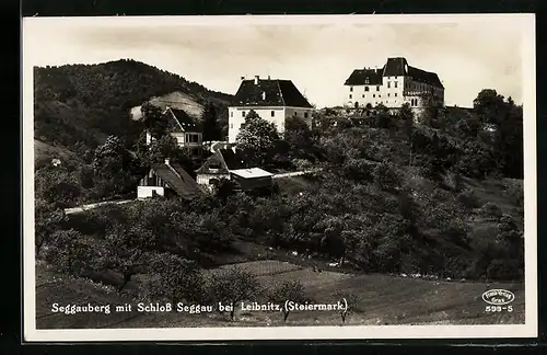 AK Seggauberg, Ortsansicht mit Schloss