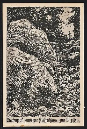 Künstler-AK Brocken, Brockenpfad zwischen Molkenhaus und Gipfel