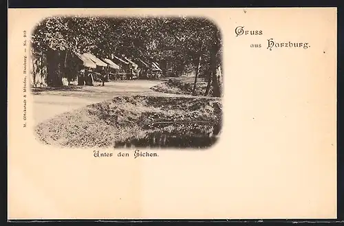 AK Harzburg, Unter den Eichen
