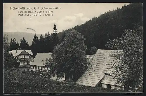 AK Altenberg /Erzgeb., Pension Gut Schellermühle aus der Vogelschau