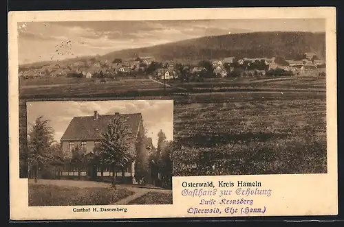 AK Osterwald /Kreis Hameln, Gasthof H. Dannenberg