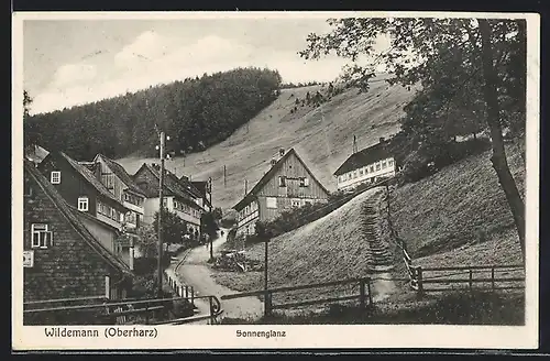 AK Wildemann, Partie am Sonnenglanz