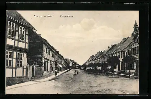 AK Seesen a. Harz, Langestrasse